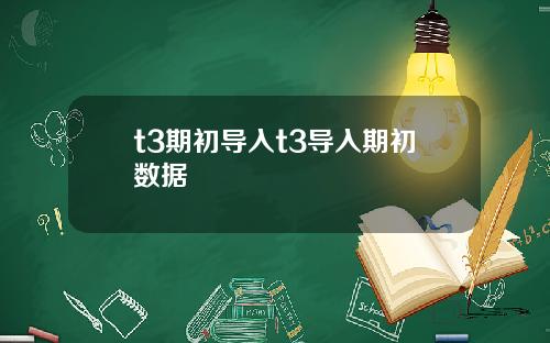 t3期初导入t3导入期初数据
