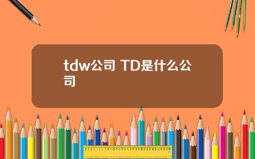 tdw公司 TD是什么公司