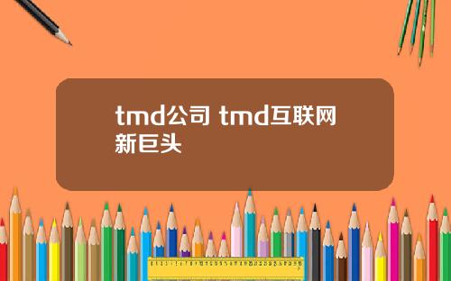 tmd公司 tmd互联网新巨头
