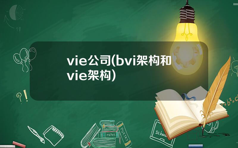 vie公司(bvi架构和vie架构)