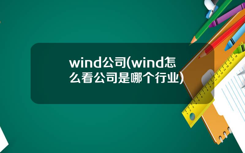 wind公司(wind怎么看公司是哪个行业)