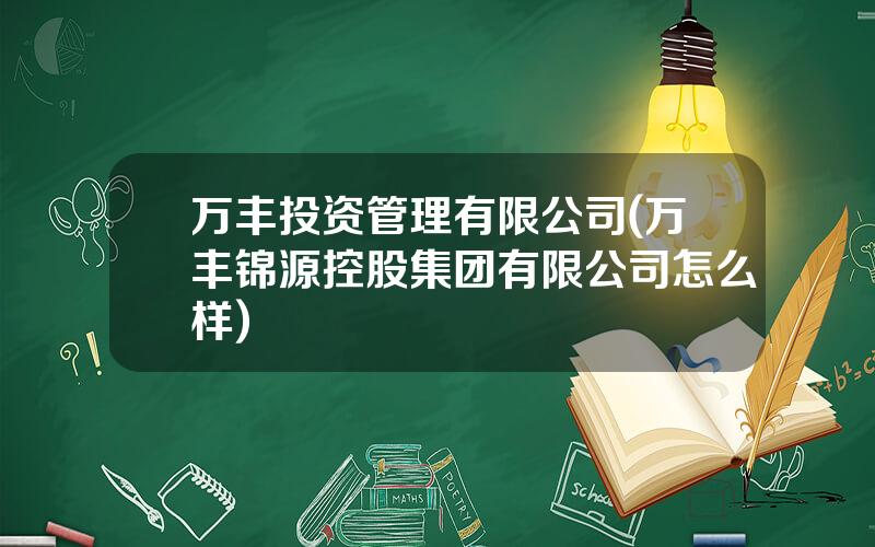 万丰投资管理有限公司(万丰锦源控股集团有限公司怎么样)
