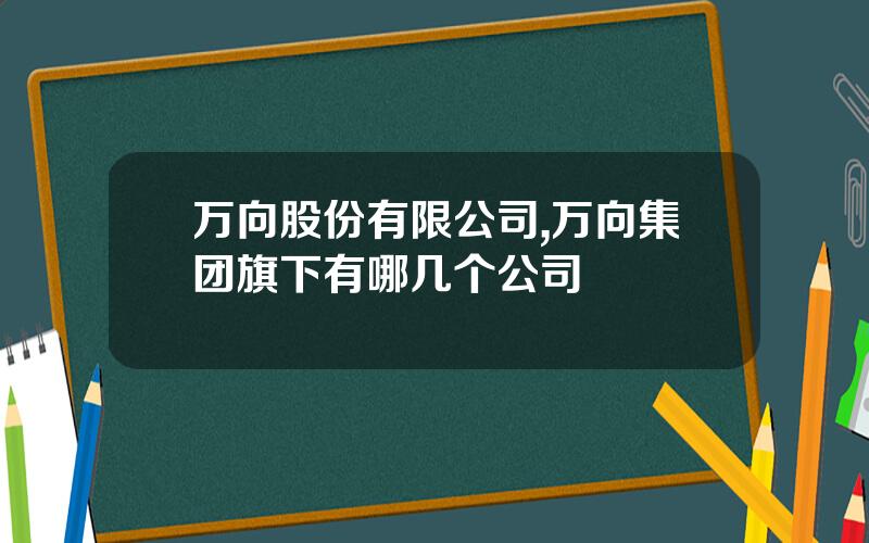 万向股份有限公司,万向集团旗下有哪几个公司