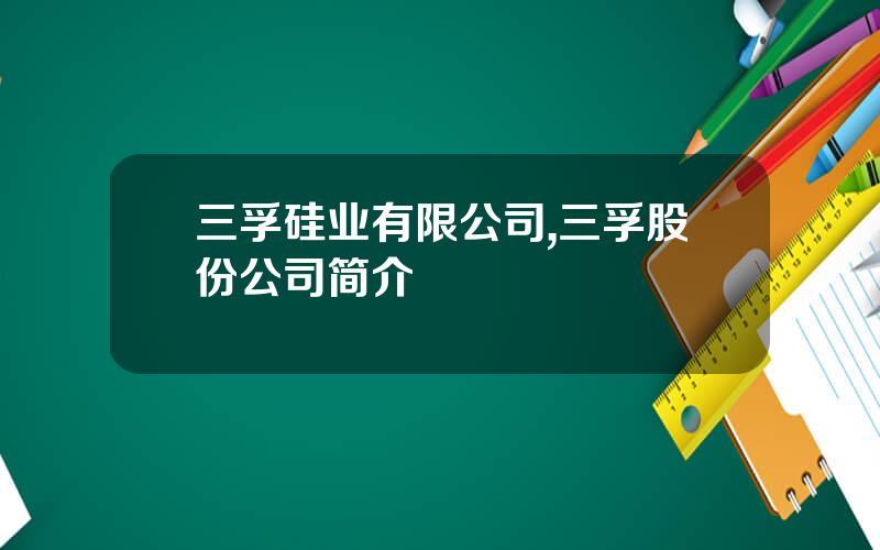 三孚硅业有限公司,三孚股份公司简介