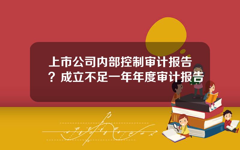上市公司内部控制审计报告？成立不足一年年度审计报告