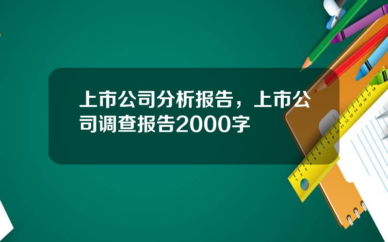 上市公司分析报告，上市公司调查报告2000字