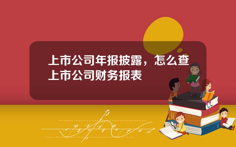 上市公司年报披露，怎么查上市公司财务报表