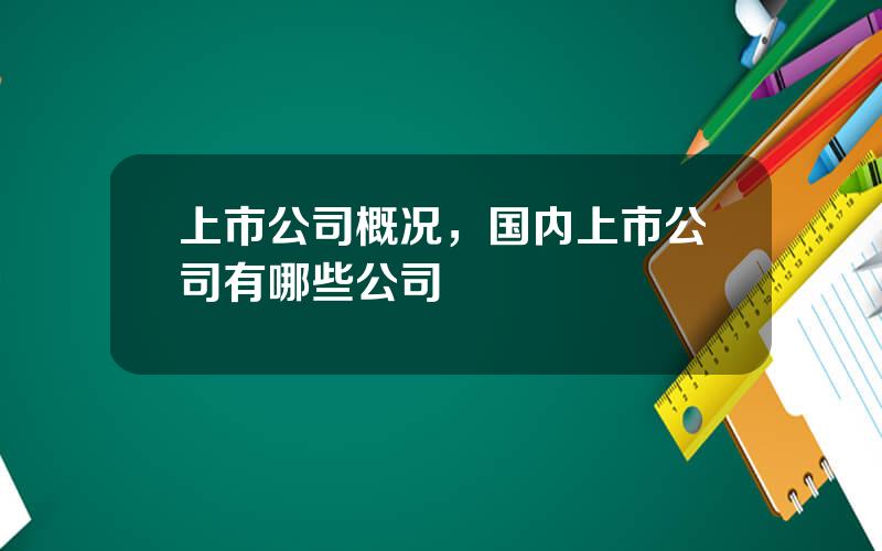 上市公司概况，国内上市公司有哪些公司
