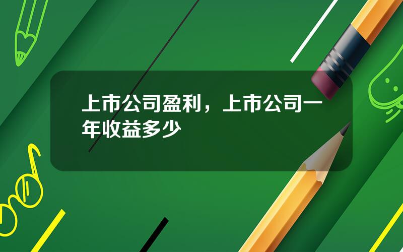 上市公司盈利，上市公司一年收益多少