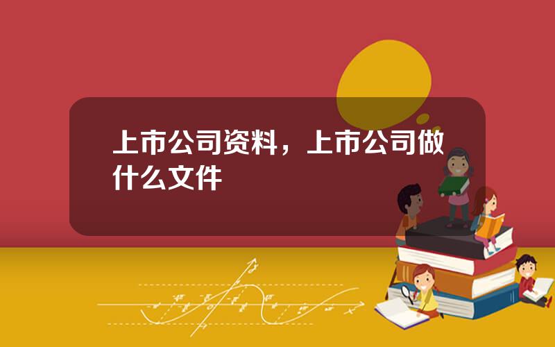 上市公司资料，上市公司做什么文件