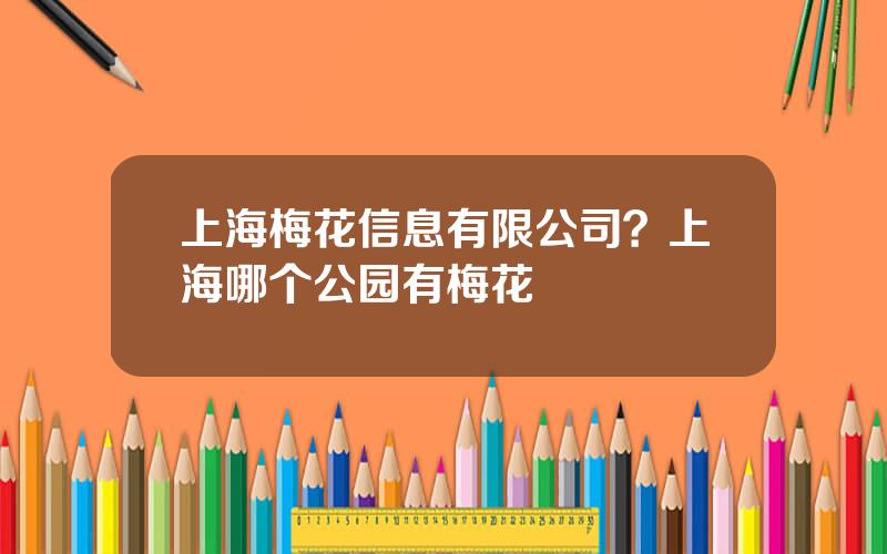 上海梅花信息有限公司？上海哪个公园有梅花