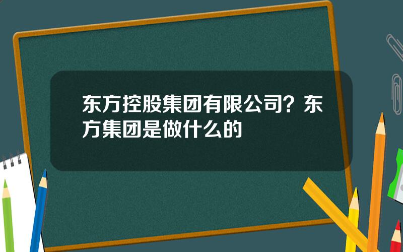 东方控股集团有限公司？东方集团是做什么的