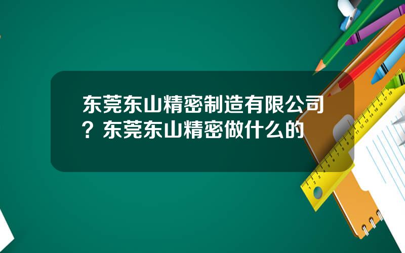 东莞东山精密制造有限公司？东莞东山精密做什么的