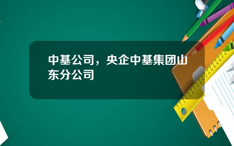 中基公司，央企中基集团山东分公司