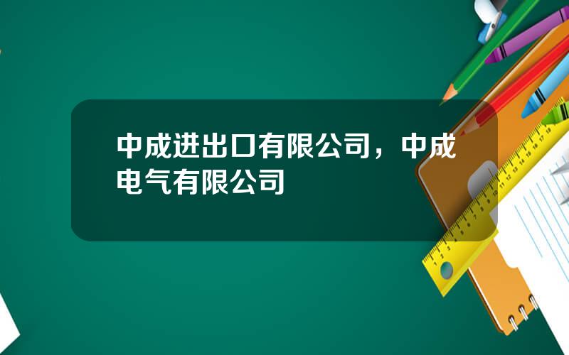 中成进出口有限公司，中成电气有限公司
