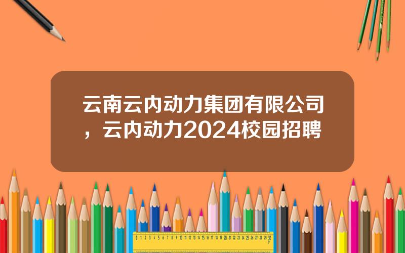 云南云内动力集团有限公司，云内动力2024校园招聘