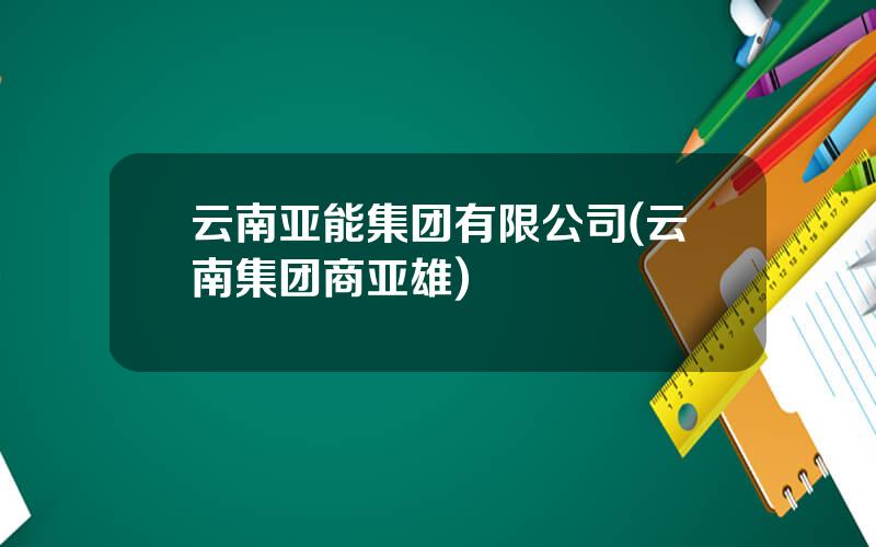 云南亚能集团有限公司(云南集团商亚雄)