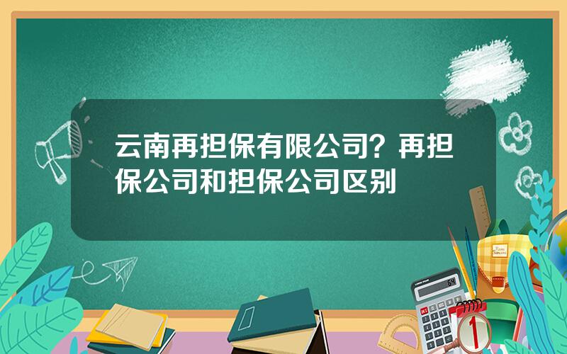 云南再担保有限公司？再担保公司和担保公司区别