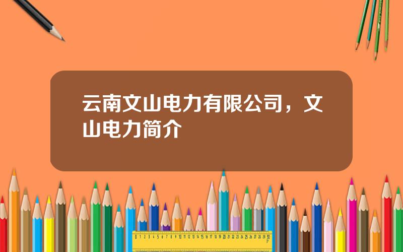 云南文山电力有限公司，文山电力简介