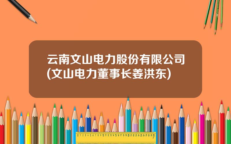 云南文山电力股份有限公司(文山电力董事长姜洪东)