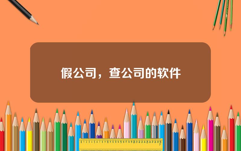 假公司，查公司的软件