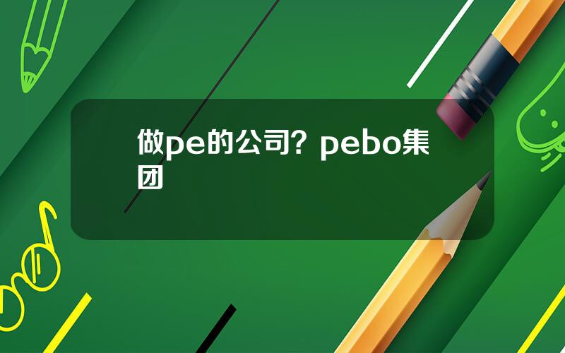做pe的公司？pebo集团