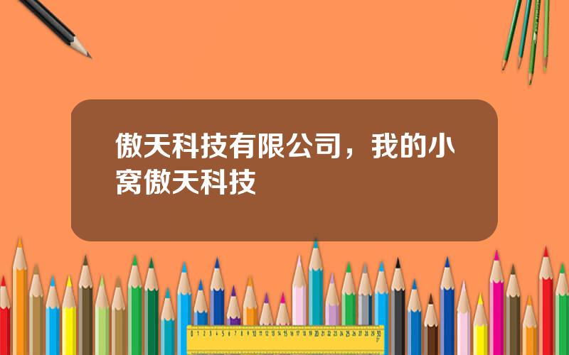 傲天科技有限公司，我的小窝傲天科技