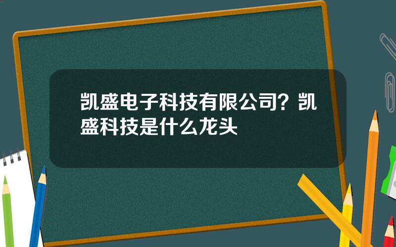 凯盛电子科技有限公司？凯盛科技是什么龙头