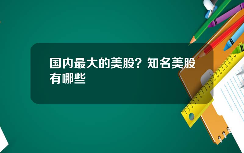 国内最大的美股？知名美股有哪些