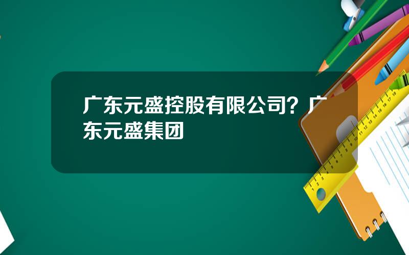 广东元盛控股有限公司？广东元盛集团