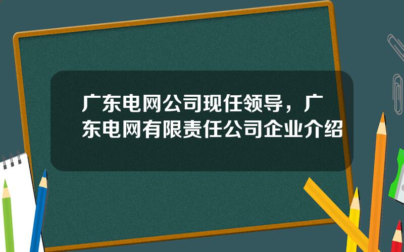 广东电网公司现任领导，广东电网有限责任公司企业介绍
