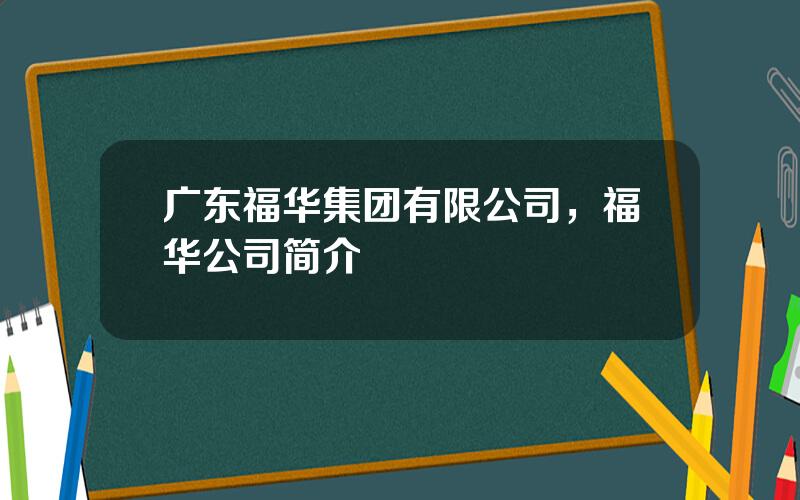 广东福华集团有限公司，福华公司简介