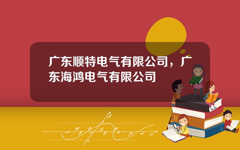 广东顺特电气有限公司，广东海鸿电气有限公司