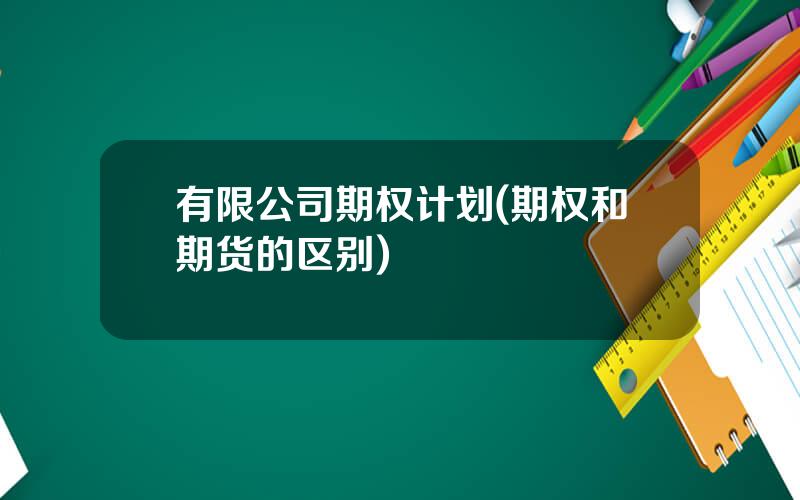 有限公司期权计划(期权和期货的区别)